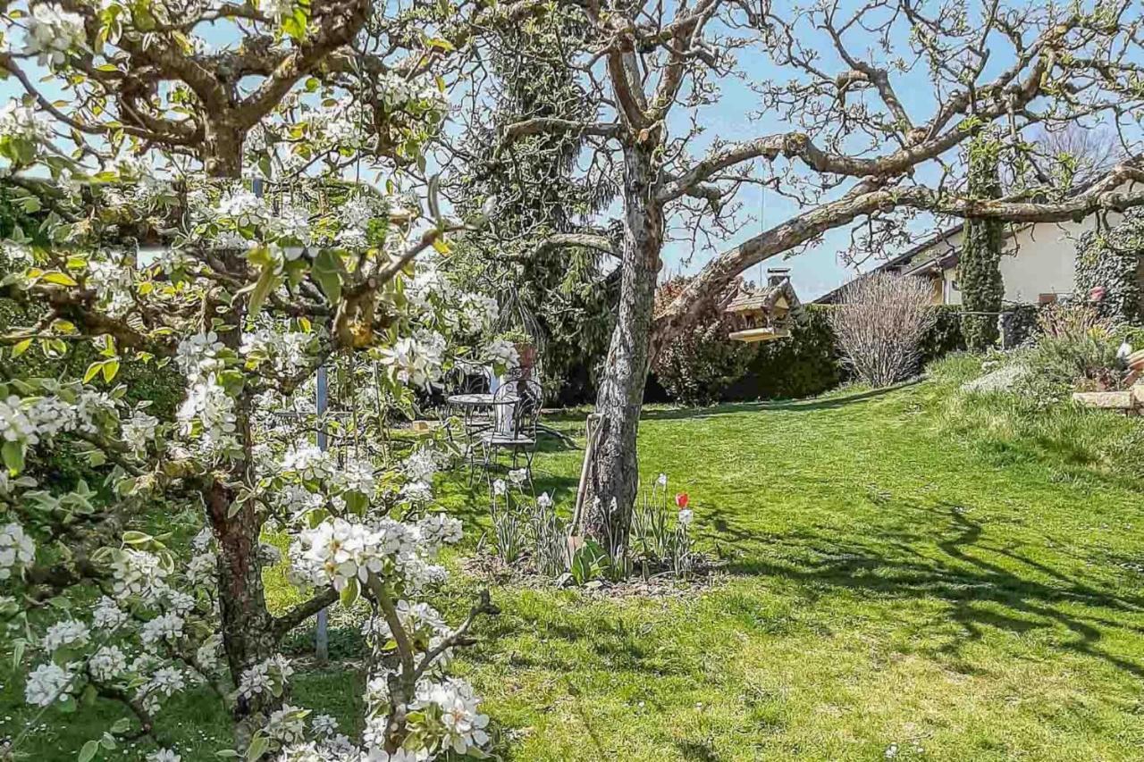 Ferienwohnungen Am Hasenweg Ruhstorf an der Rott Dış mekan fotoğraf